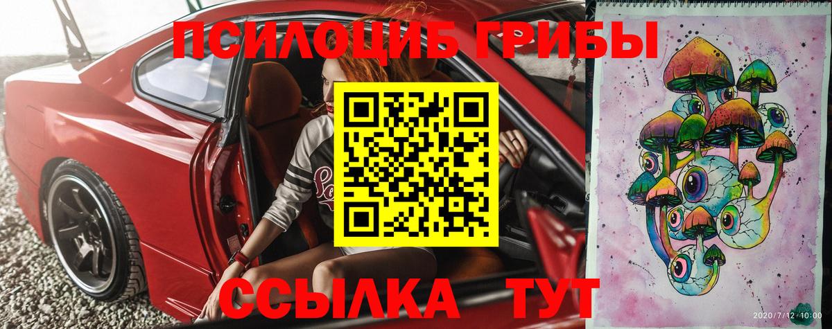 Лесной  Псилоцибиновые грибы MAGIC MUSHROOMS  Псилоцибиновые грибы MAGIC MUSHROOMS  Вход с VPN 